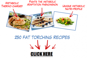 Fat Burning Diet - Metabolic Cooking