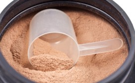 Fat Burning Diet - Protein Powder