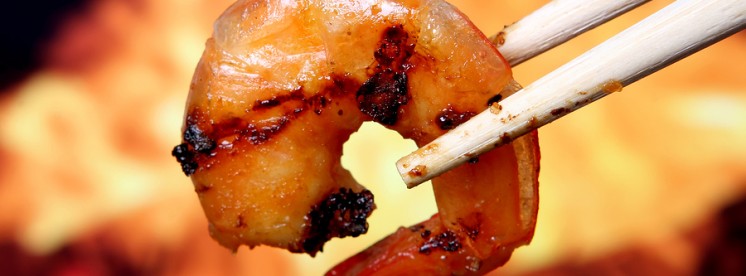 Fat Burning Diet - Protein Thermogenic