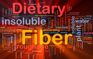 Fat Burning Diet - Dietary Fiber