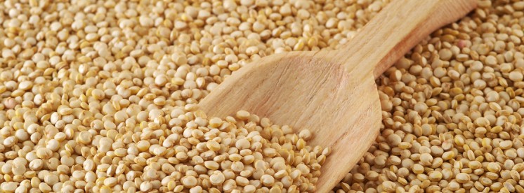 Fat Burning Diet - Canihua